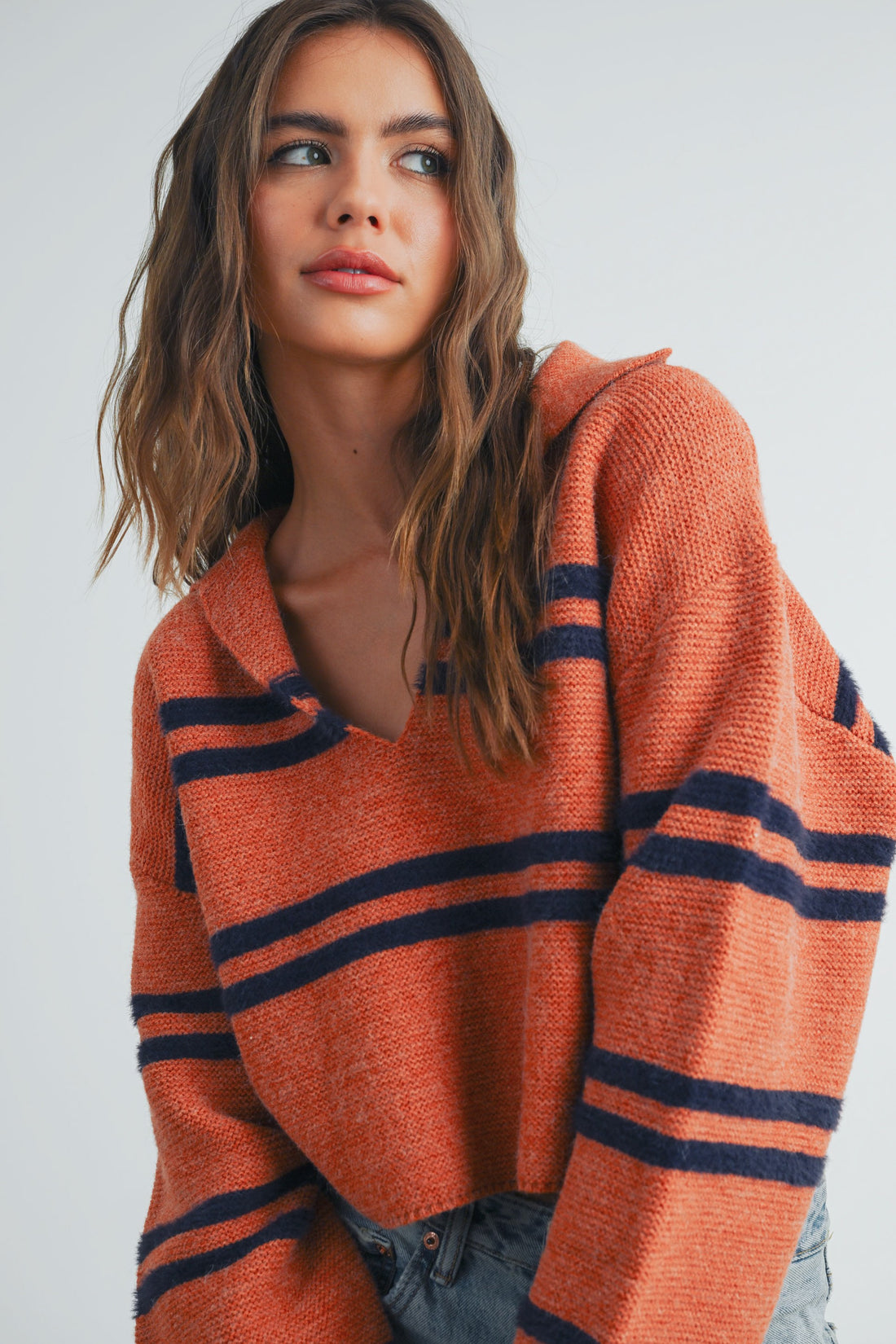 Stripe Cozy Collared Crop Sweater