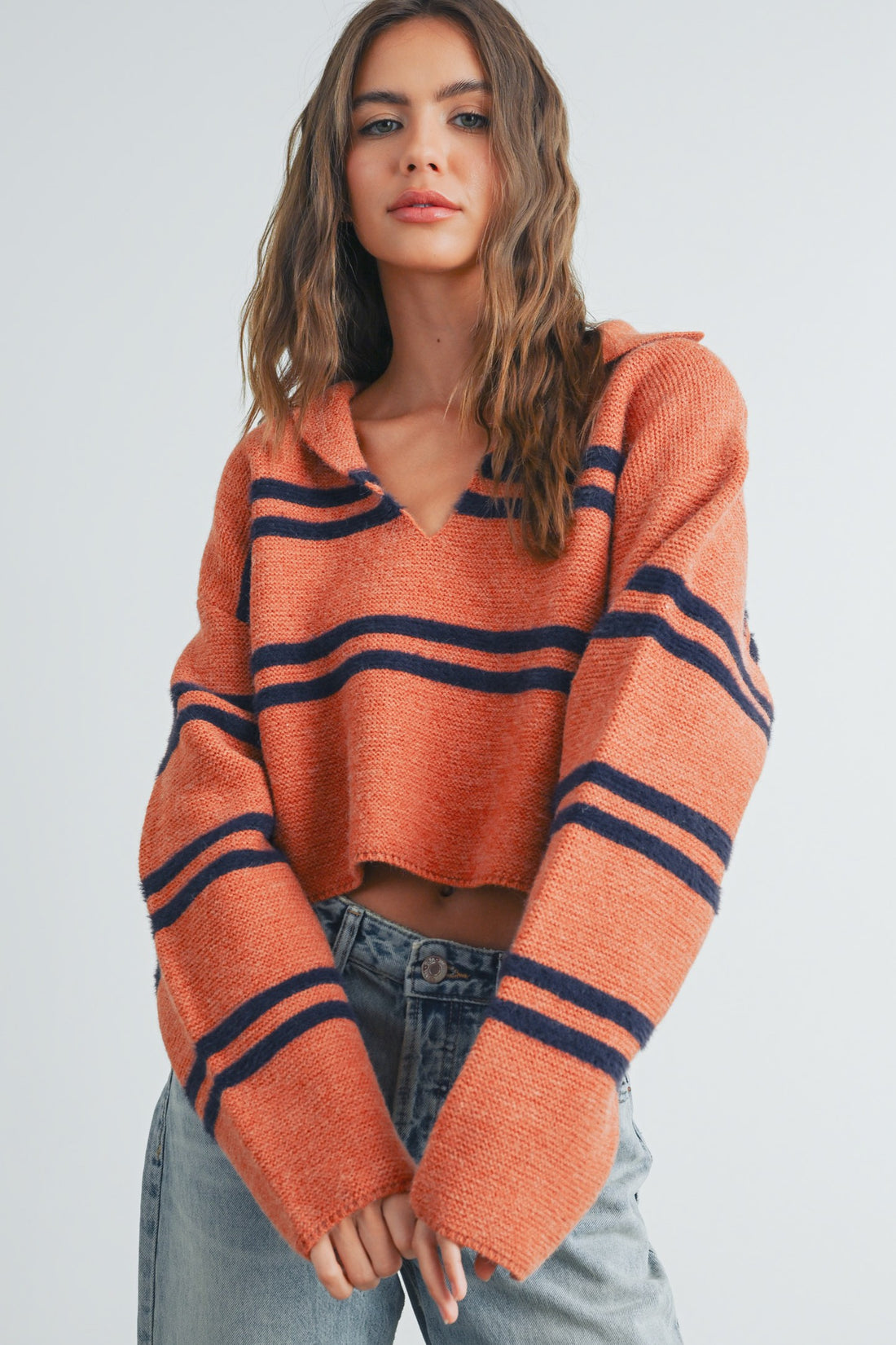 Stripe Cozy Collared Crop Sweater
