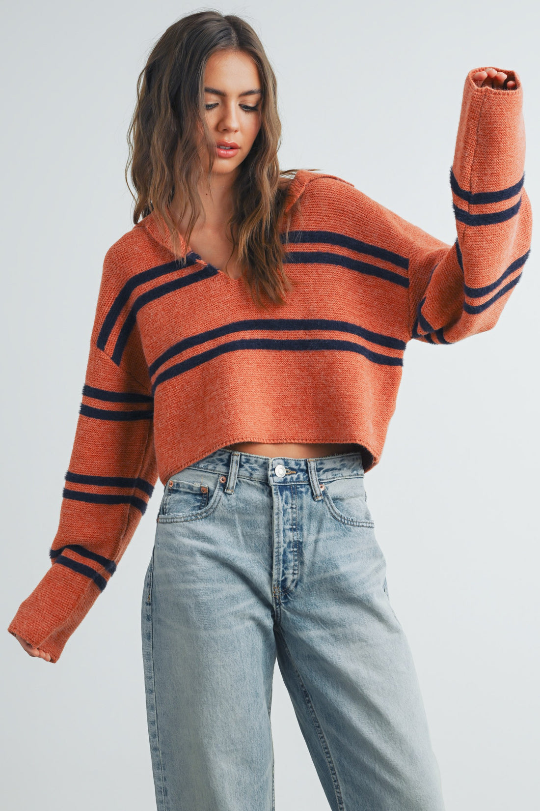 Stripe Cozy Collared Crop Sweater