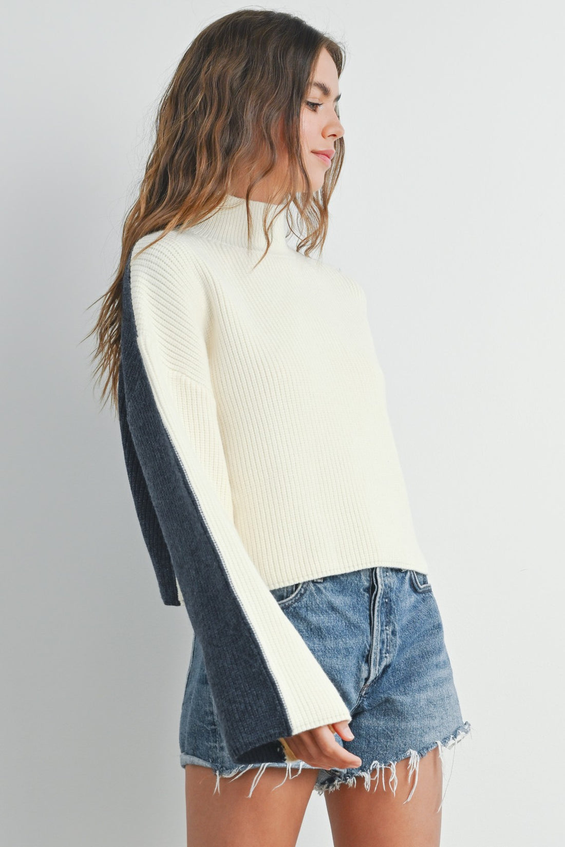 Two Tone Mock Neck Sweater