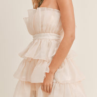 Organza Tulle Tiered Mini Dress