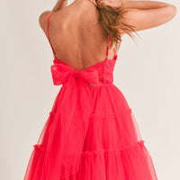 Tulle Mesh Bow Back Mini Dress