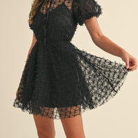 Textured Mesh Puff Sleeve Babydoll Dress