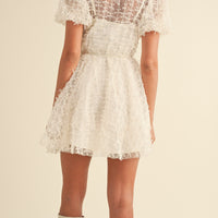 Textured Mesh Puff Sleeve Babydoll Dress