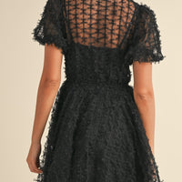 Textured Mesh Puff Sleeve Babydoll Dress